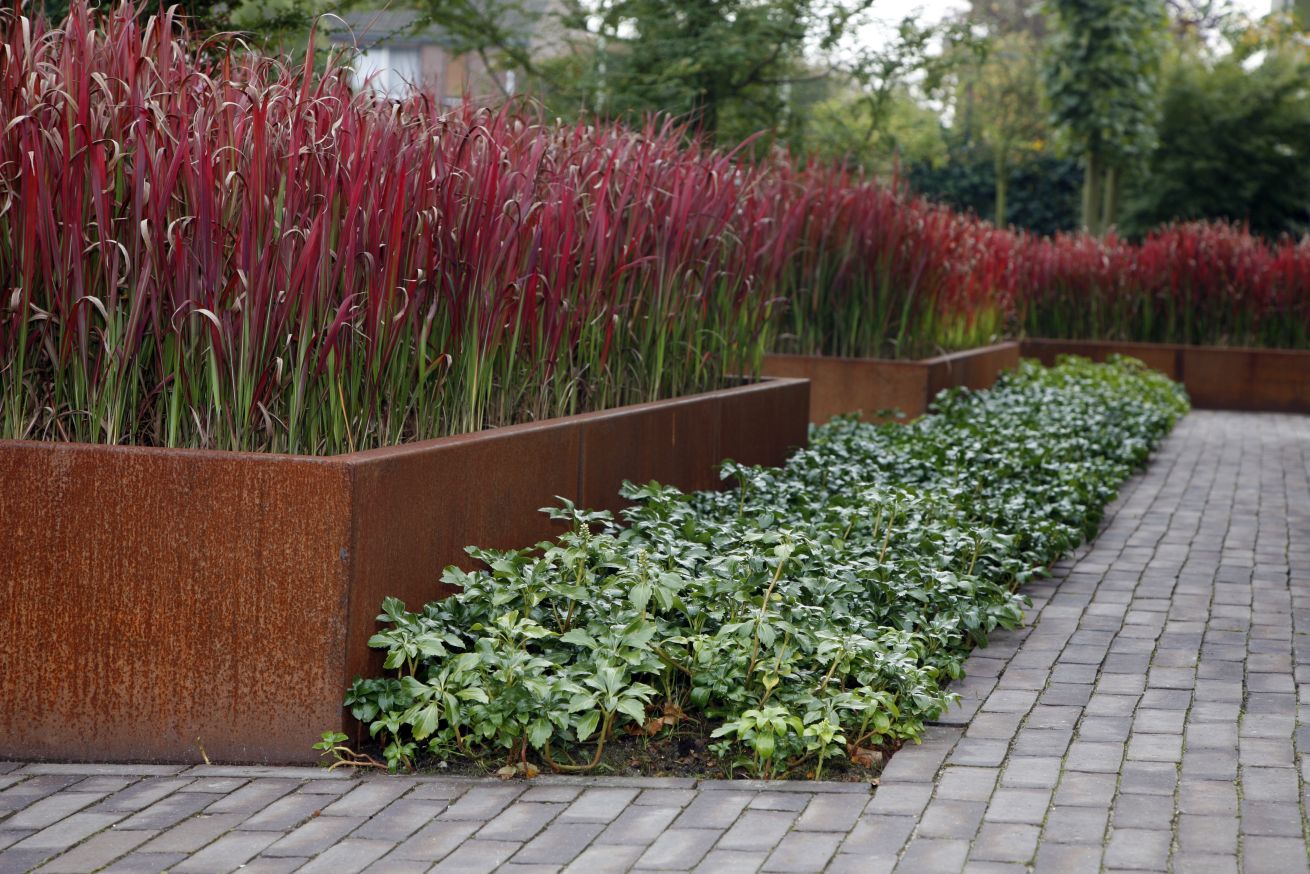 hochbeet-corten-60cmhoch-rosteffekt-kaufen hochbeet-corten-60cmhoch-rosteffekt-kaufen