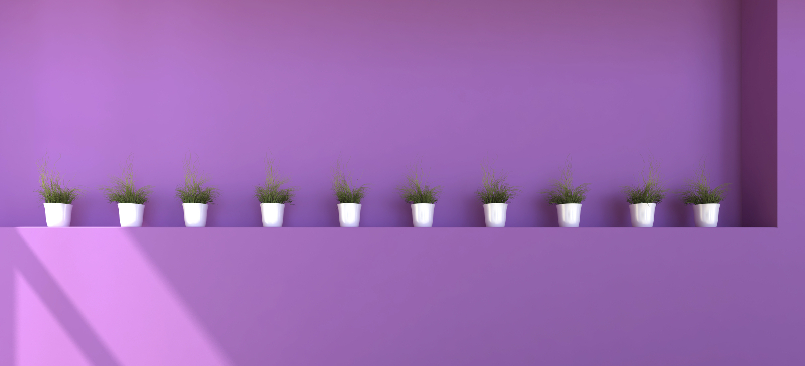 tpfevorlilahintergrundkategorieformat