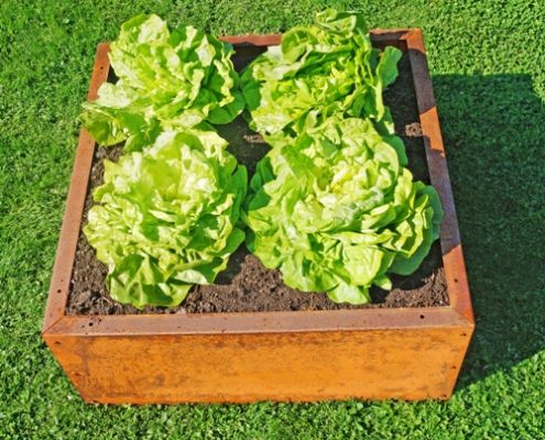 hochbeet-edelrost-planus-metall-corten