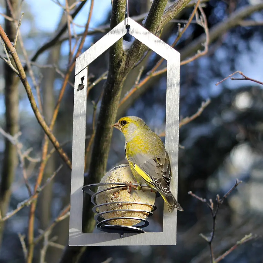 Ballhouse Design-Meisenknödelhalter