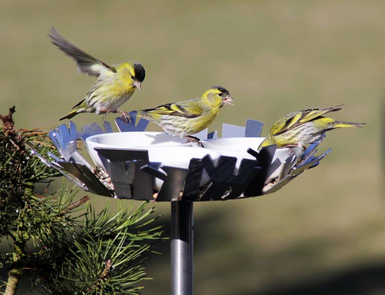 Moderne Vogeltränke/Vogelhaus aus Edelstahl, inkl. Ständer