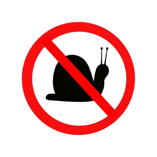 hochbeet-schneckenschutz-schneckenabwehr-schneckensicher hochbeet-schneckenschutz-schneckenabwehr-schneckensicher