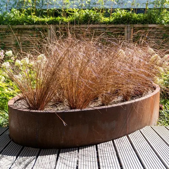 hochbeet-pflanzgef-oval-elipse-corten-ambiente(1)