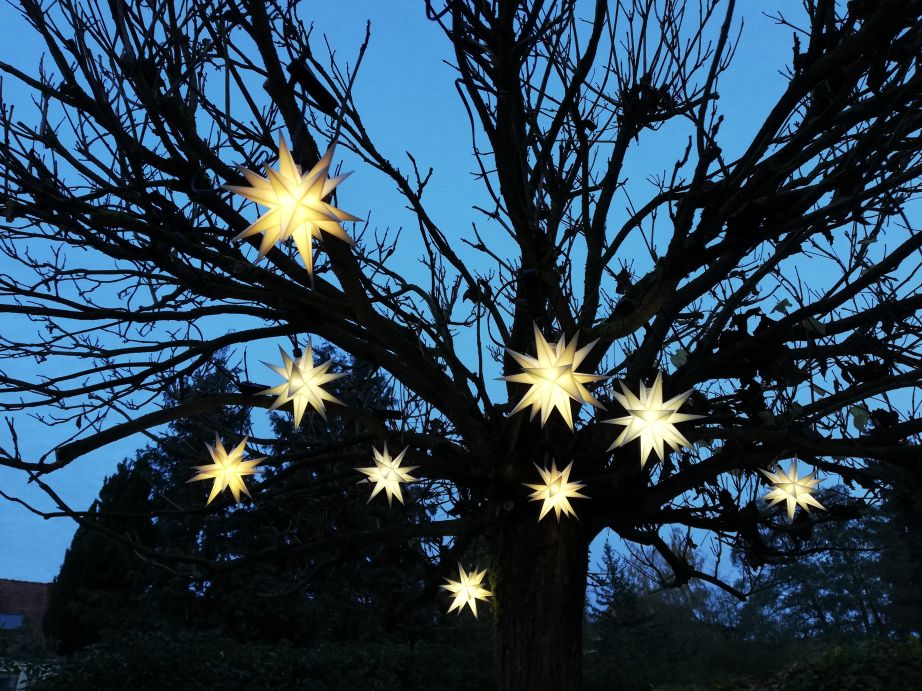 Outdoor-Lichterkette mit 9 Sternen (12 cm) weiß oder gelb, 3D, LED, mit  Stromkabel